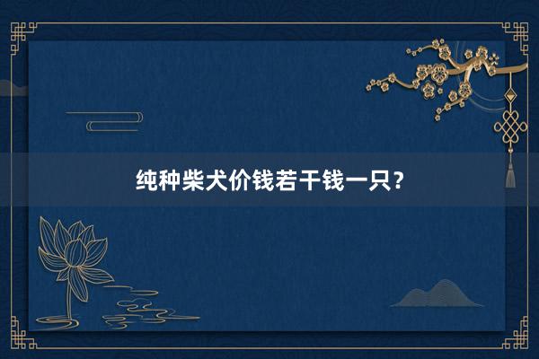 纯种柴犬价钱若干钱一只？