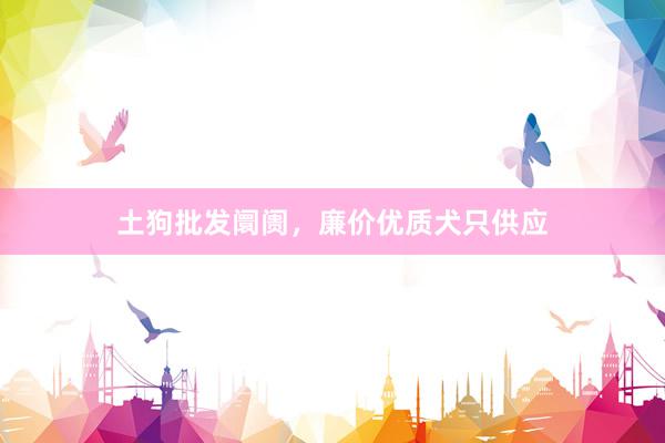 土狗批发阛阓,廉价优质犬只供应